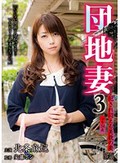 団地妻 3 犯され悶える美貌の妻 北条麻妃