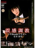 震感調教 ?vibrateアクメ? 有本紗世