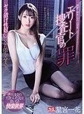 エリート捜査官の罪 ヤク漬け性奴●にされ堕ちるまで… 星宮一花