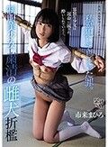 私が犯してしまった罪。 制服美少女 粛清の雌犬折● 市来まひろ